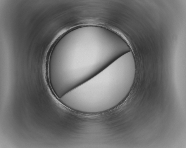 X0000113361147200909151001