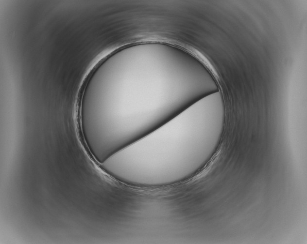 X0000113361149200909151001