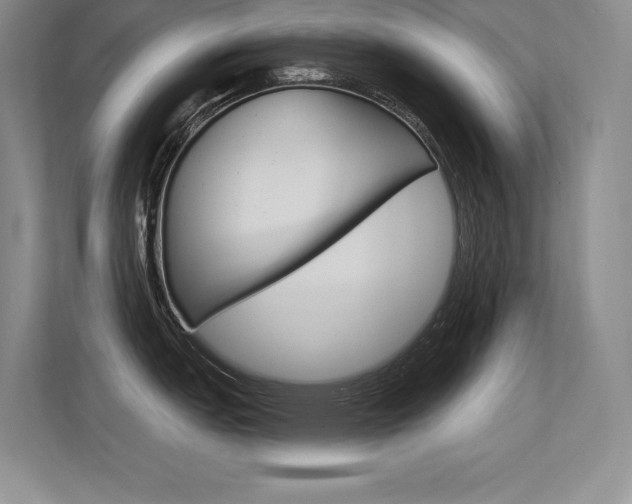 X0000113361151200909151001