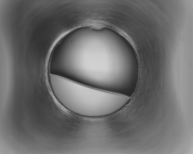 X0000113361152200909151001
