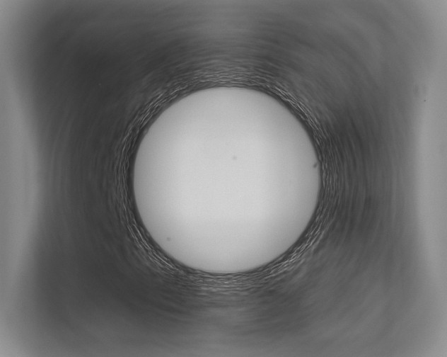 X0000113361153200909151001