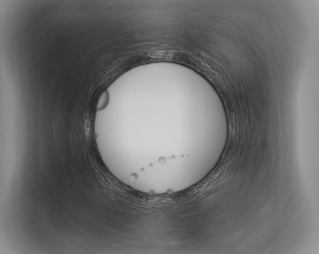 X0000113361154200909151001