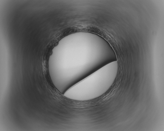 X0000113361156200909151001