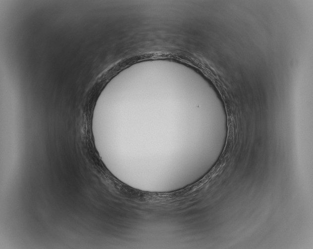 X0000113361158200909151001