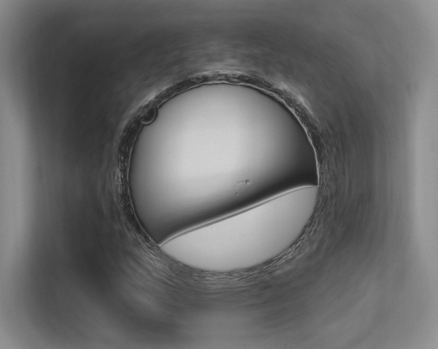 X0000113361159200909151001