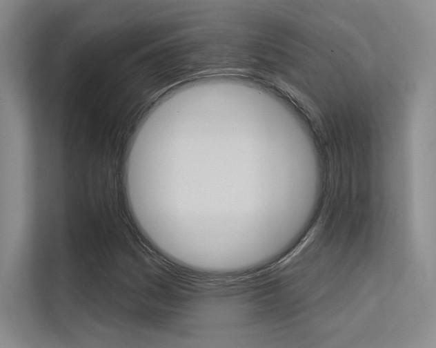 X0000113361161200909151001