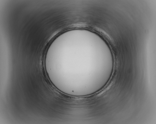 X0000113361162200909151001