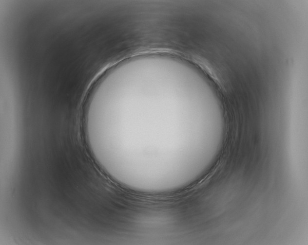 X0000113361165200909151001