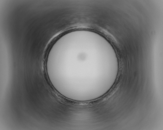 X0000113361166200909151001