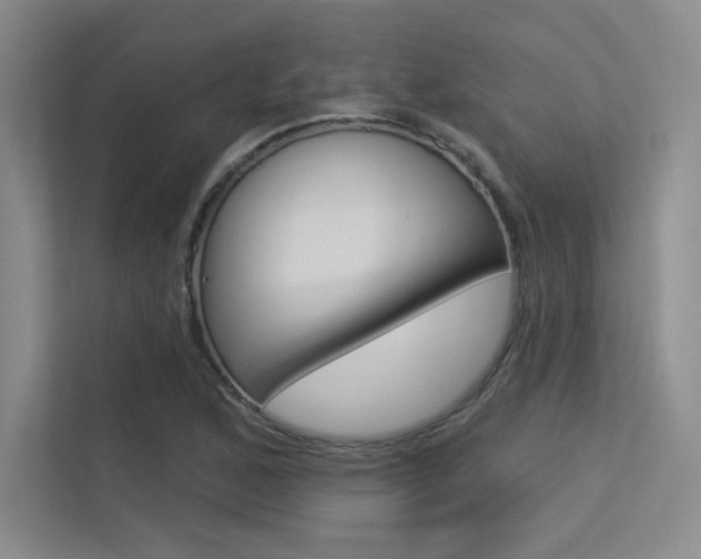 X0000113361168200909151001