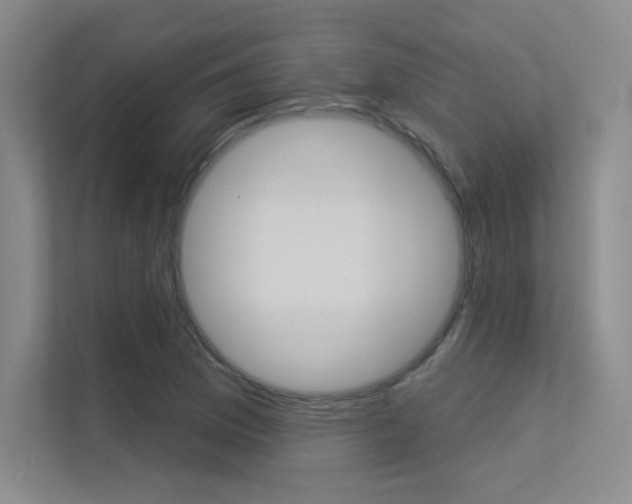 X0000113361169200909151000