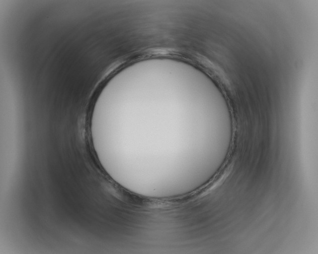 X0000113361170200909151000