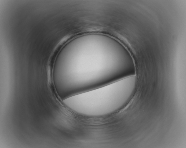 X0000113361171200909151000
