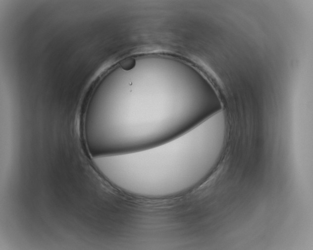 X0000113361173200909151000