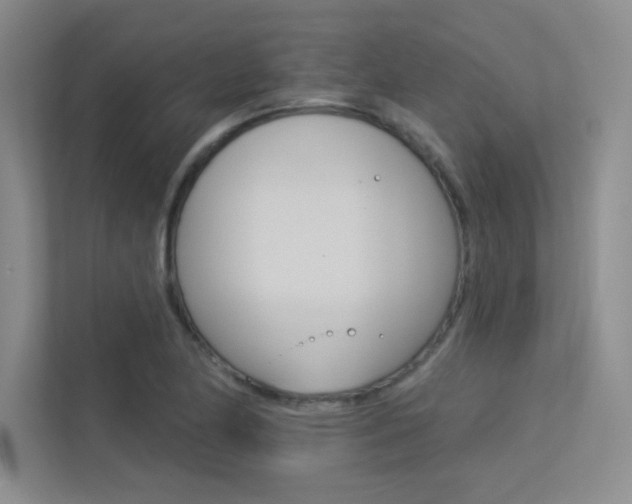 X0000113361174200909151000