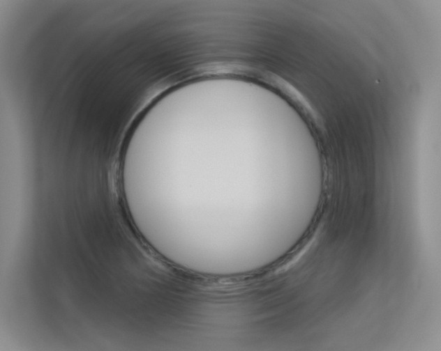 X0000113361178200909151000