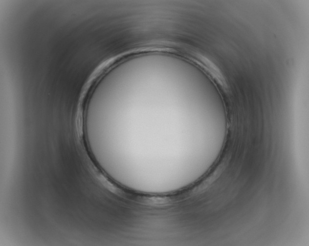 X0000113361180200909151000