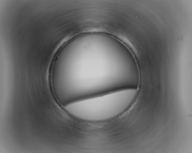 X0000113361181200909151000