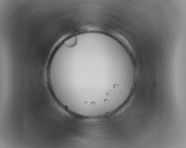 X0000113361182200909151000