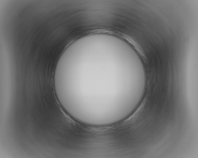 X0000113361185200909151000
