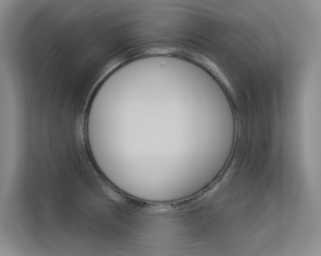 X0000113361186200909151000