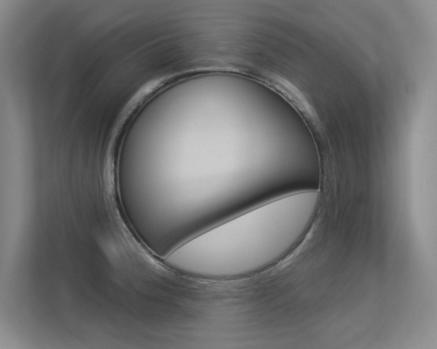 X0000113361188200909151000