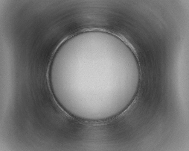 X0000113361189200909151000