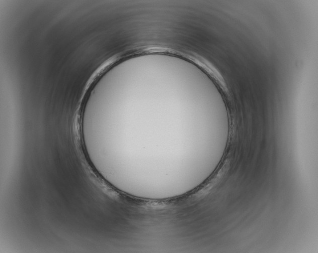 X0000113361190200909151000