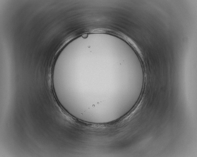 X0000113361194200909151000