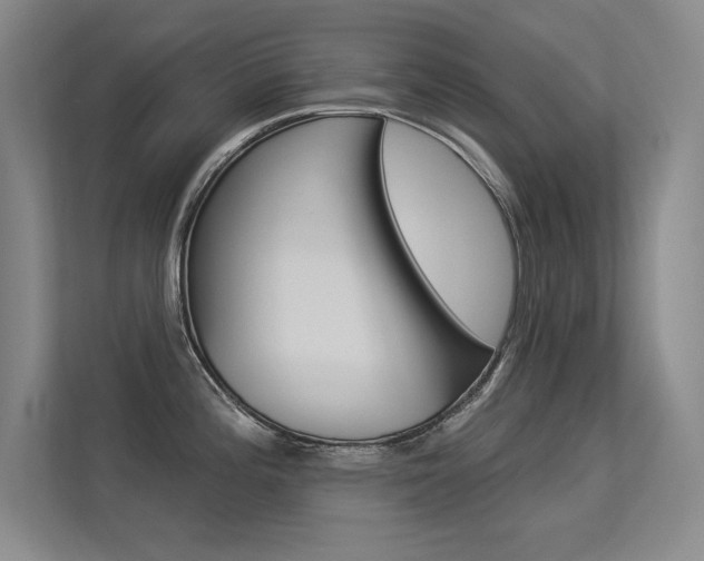 X0000113361196200909151000