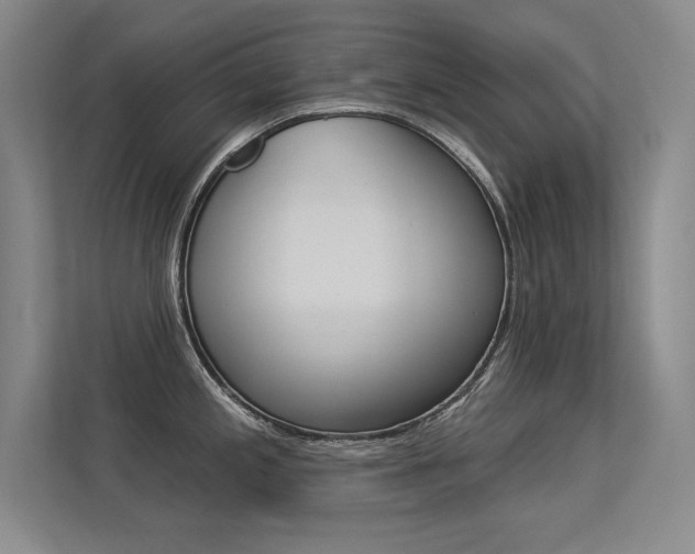 X0000113361197200909151000