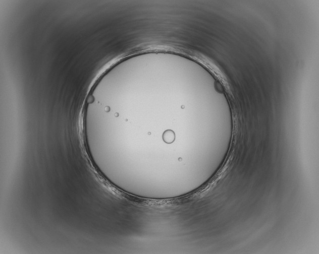 X0000113361198200909151000