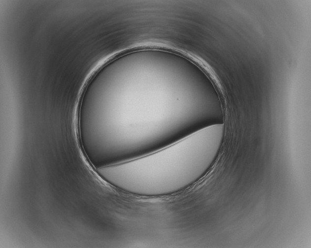 X0000113361199200909151000