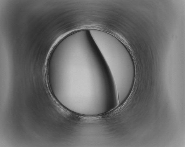 X0000113361200200909151000