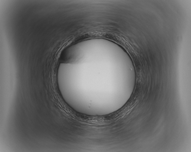 X0000113361201200909150959