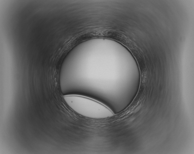 X0000113361202200909150959