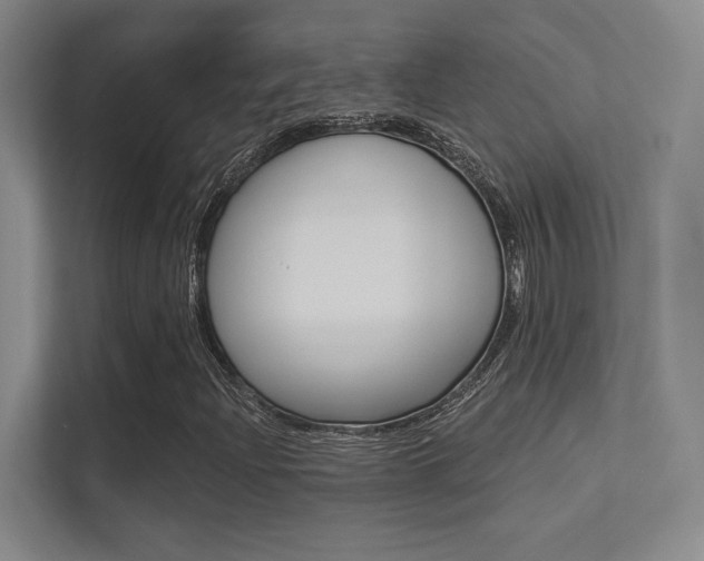 X0000113361204200909150959