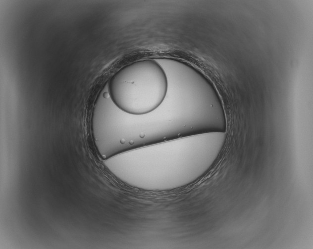 X0000113361205200909150959