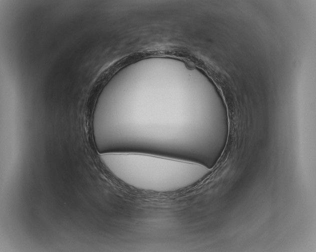 X0000113361206200909150959