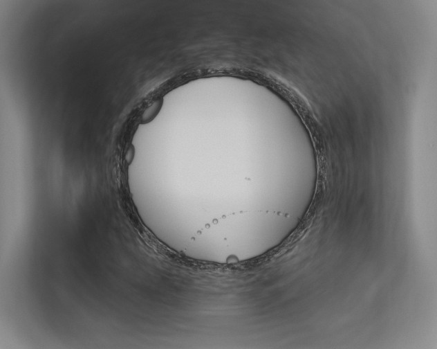 X0000113361207200909150959