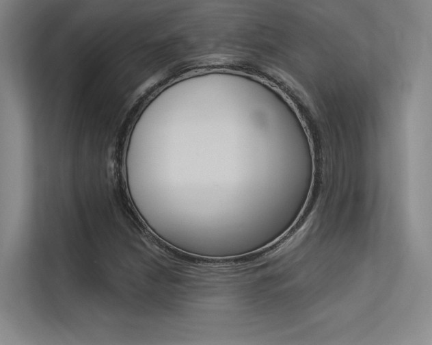 X0000113361210200909151000