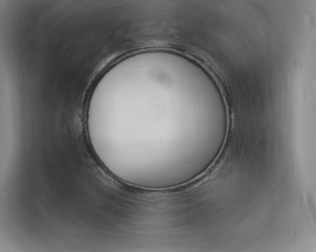 X0000113361212200909151000