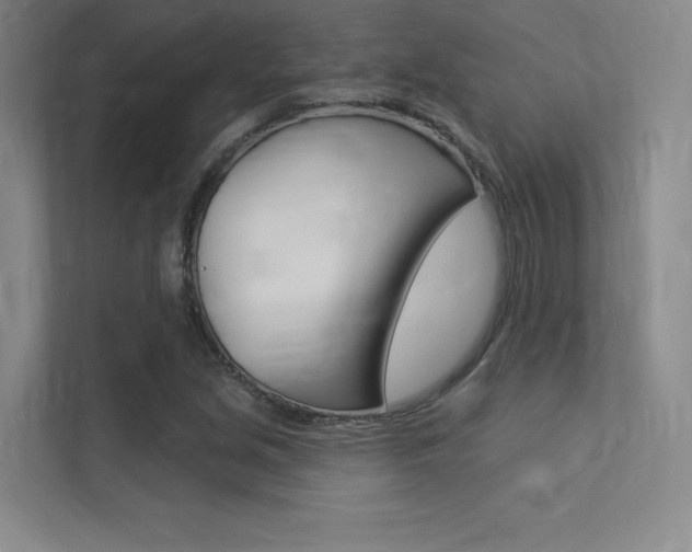 X0000113361213200909151000