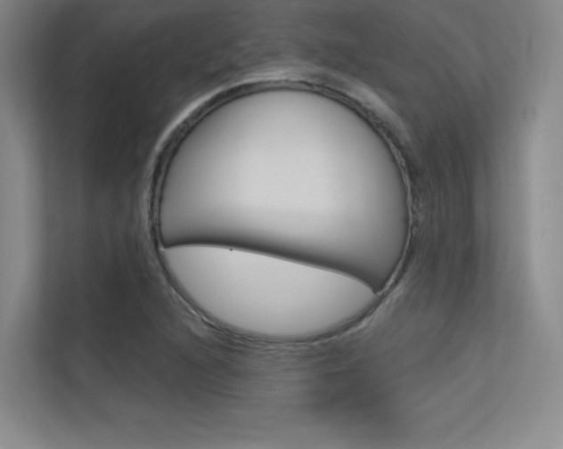 X0000113361216200909151000