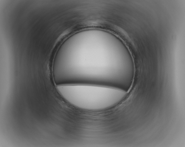 X0000113361218200909151000
