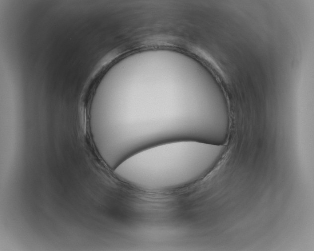 X0000113361219200909151000