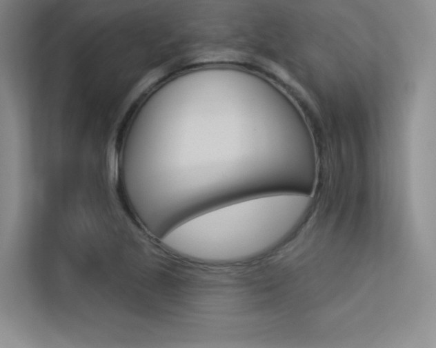 X0000113361221200909151000
