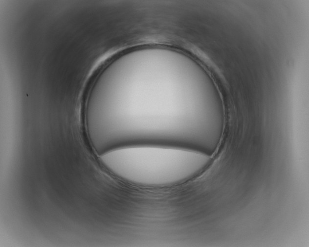 X0000113361222200909151000