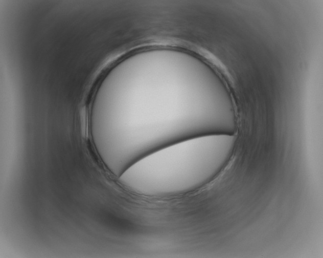 X0000113361223200909151000