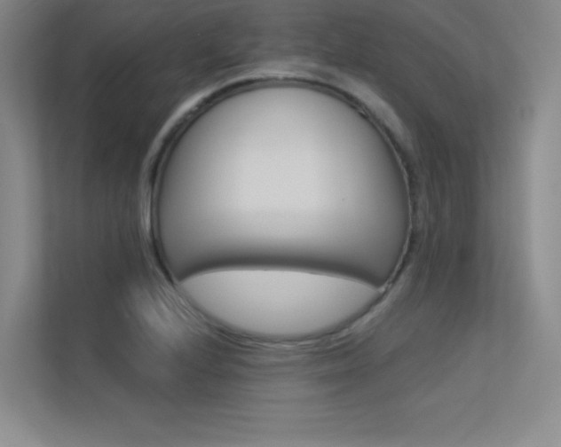 X0000113361224200909151000